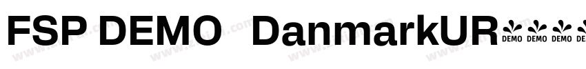 FSP DEMO   DanmarkUR字体转换